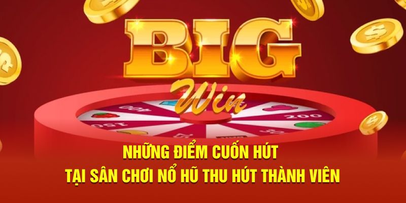 Những nhà cung cấp uy tín đáng trải nghiệm